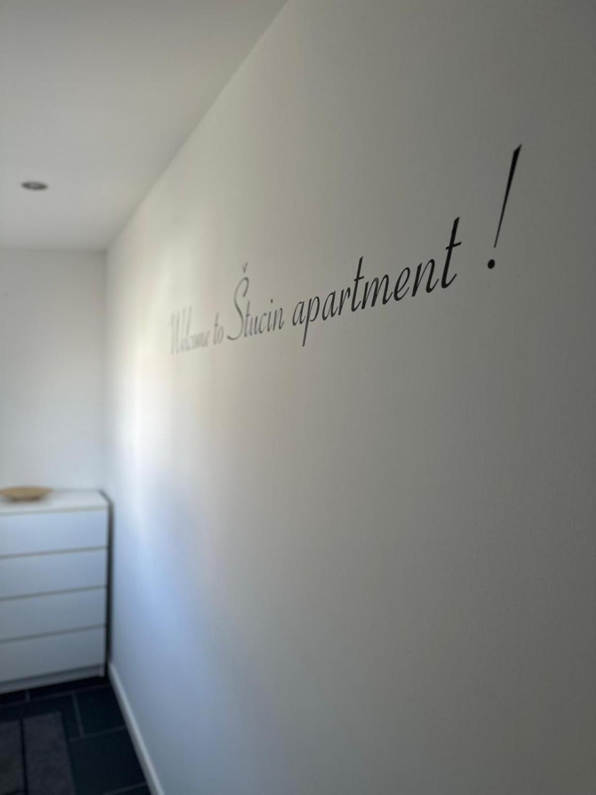 Apartment Stucin Випава Экстерьер фото